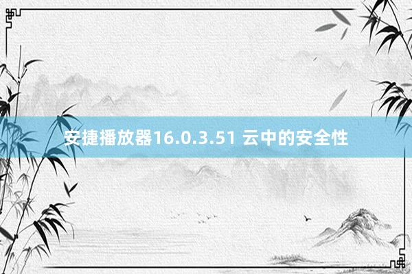 安捷播放器16.0.3.51 云中的安全性