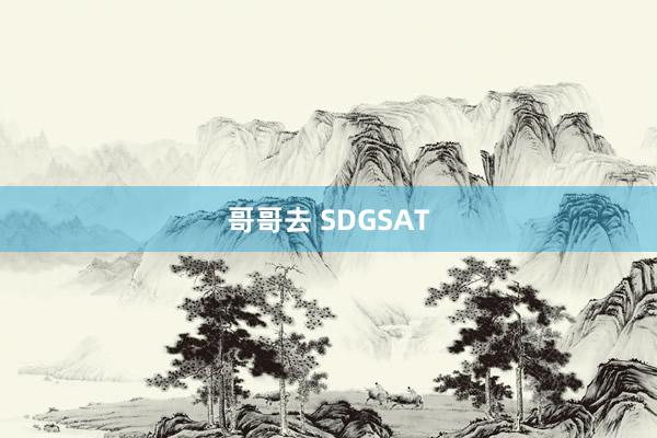 哥哥去 SDGSAT