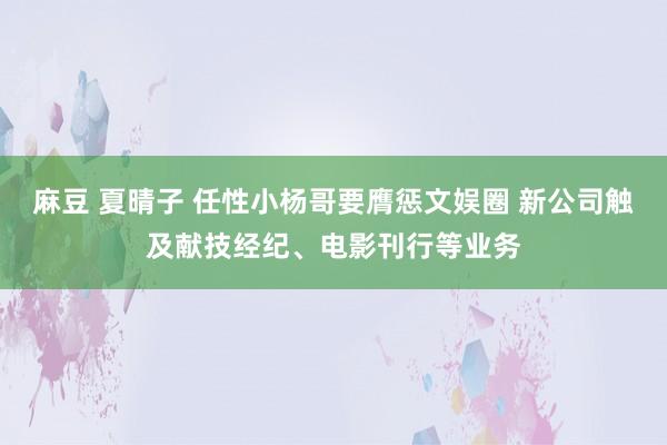 麻豆 夏晴子 任性小杨哥要膺惩文娱圈 新公司触及献技经纪、电影刊行等业务