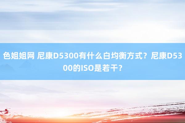 色姐姐网 尼康D5300有什么白均衡方式？尼康D5300的ISO是若干？