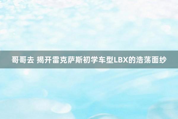 哥哥去 揭开雷克萨斯初学车型LBX的浩荡面纱