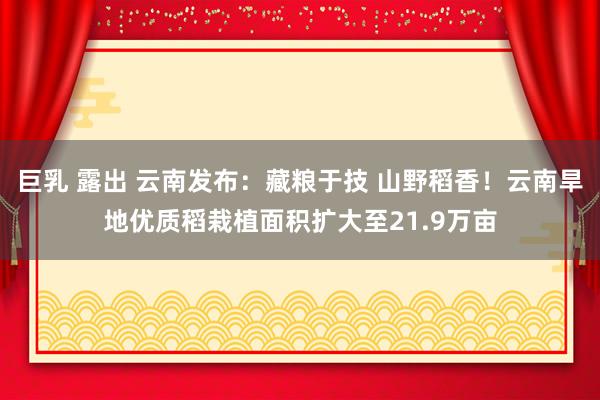 巨乳 露出 云南发布：藏粮于技 山野稻香！云南旱地优质稻栽植面积扩大至21.9万亩