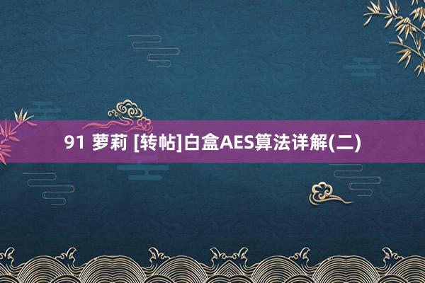 91 萝莉 [转帖]白盒AES算法详解(二)
