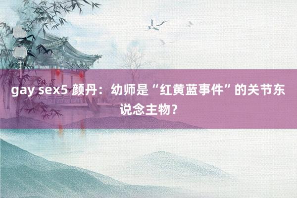 gay sex5 颜丹：幼师是“红黄蓝事件”的关节东说念主物？