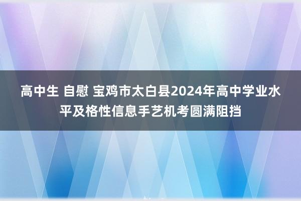 高中生 自慰 宝鸡市太白县2024年高中学业水平及格性信息手艺机考圆满阻挡