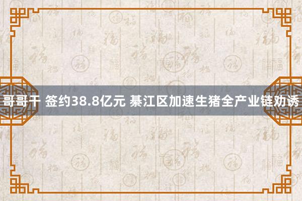 哥哥干 签约38.8亿元 綦江区加速生猪全产业链劝诱