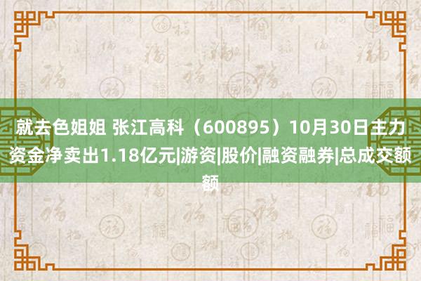 就去色姐姐 张江高科（600895）10月30日主力资金净卖出1.18亿元|游资|股价|融资融券|总成交额