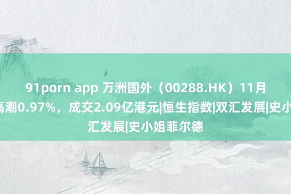 91porn app 万洲国外（00288.HK）11月8日收盘高潮0.97%，成交2.09亿港元|恒生指数|双汇发展|史小姐菲尔德