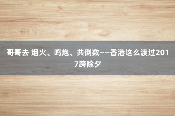 哥哥去 烟火、鸣炮、共倒数——香港这么渡过2017跨除夕