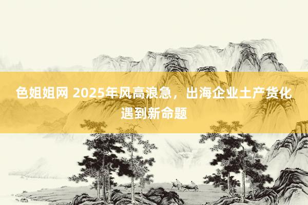 色姐姐网 2025年风高浪急，出海企业土产货化遇到新命题