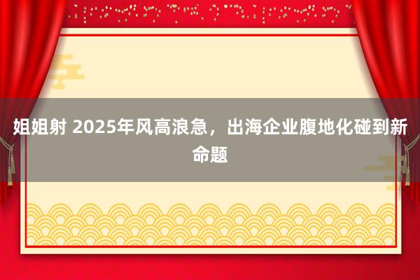 姐姐射 2025年风高浪急，出海企业腹地化碰到新命题